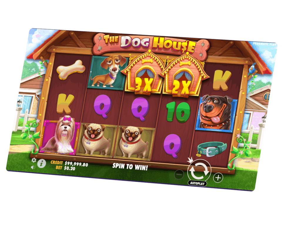 spinbet blackjack